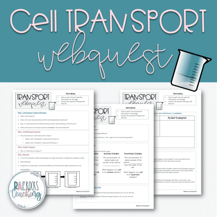 Stem cell webquest answer key