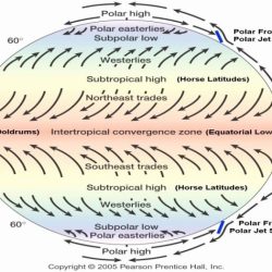 Global wind patterns worksheet answers