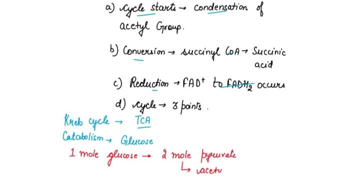 Select the incorrect statement regarding nad+ in this work.