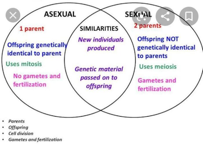 Venn diagram sexual and asexual reproduction