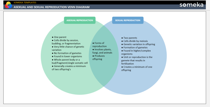 Venn diagram sexual and asexual reproduction