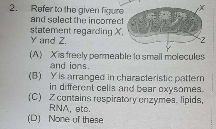 Select the incorrect statement regarding nad+ in this work.