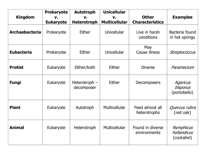 The six kingdoms of life crossword answer key